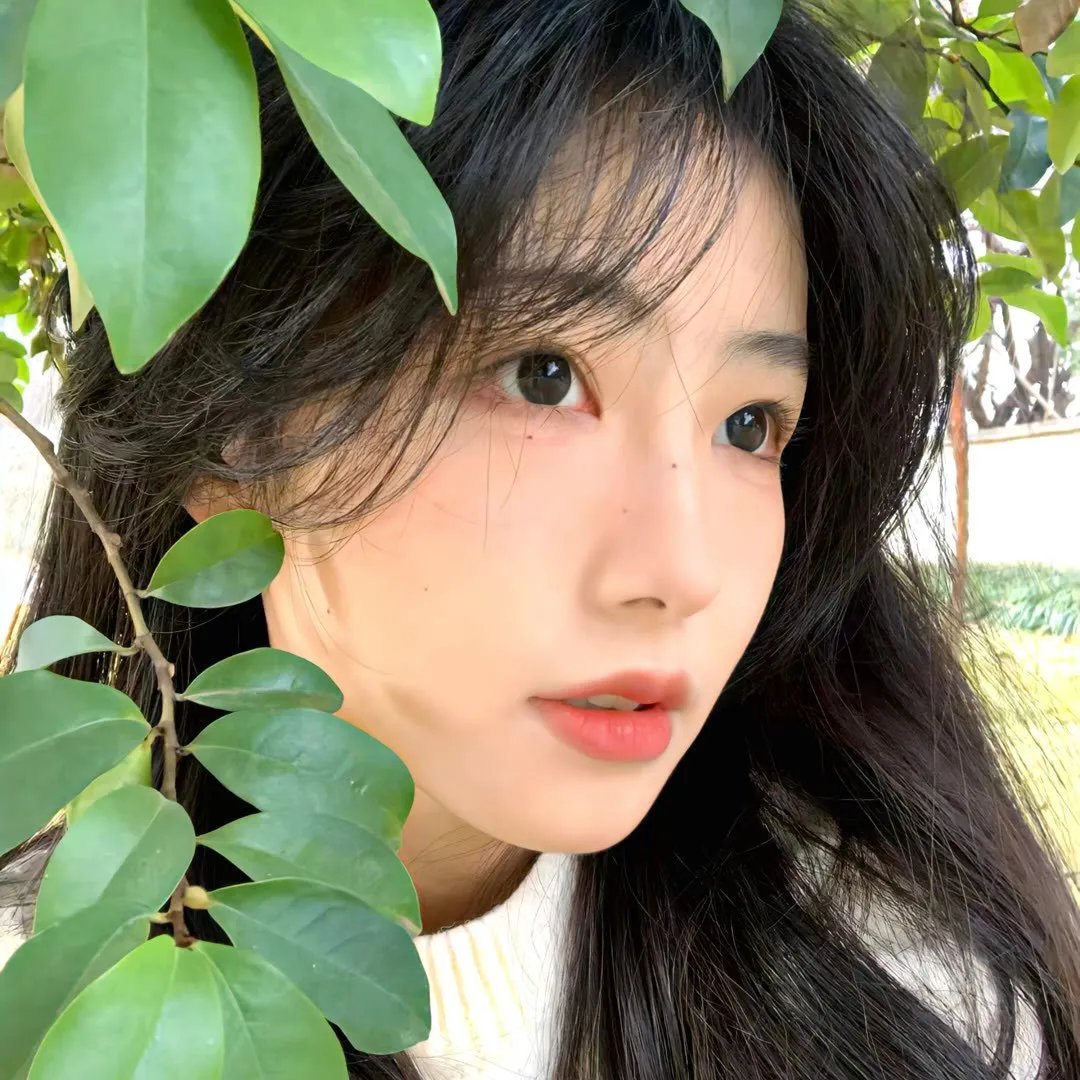 追影